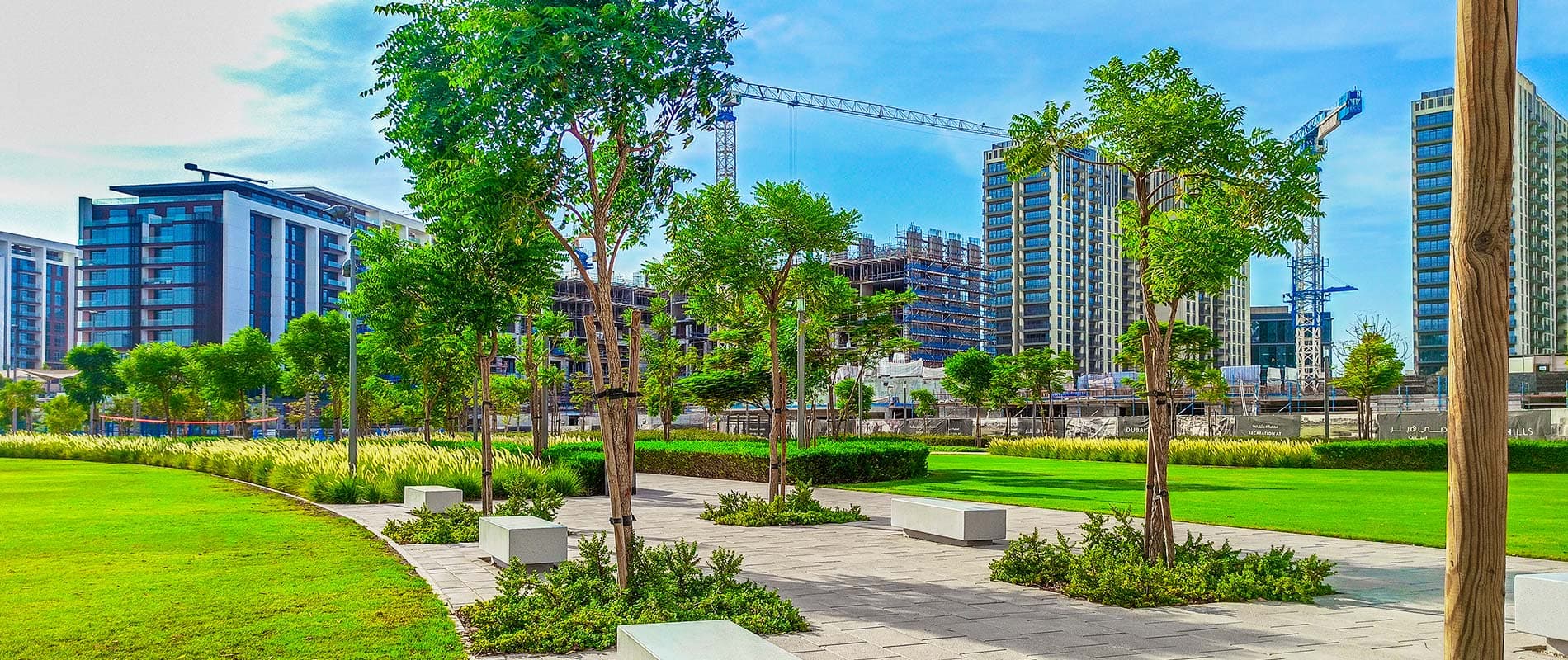Dubai Hills, photograph 6 of 9