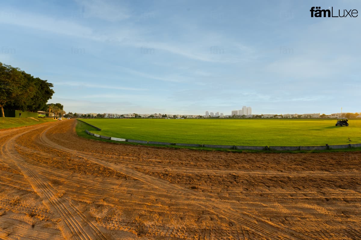 6 bedroom villa in Polo Homes, photograph 12 of 19